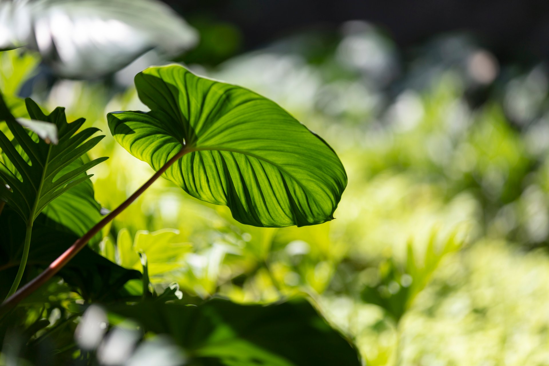 Sustainability
