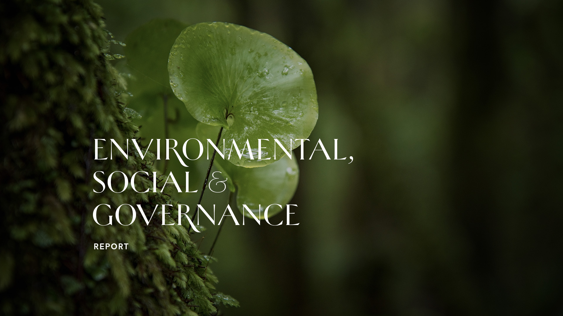 Sustainability_Report_1920x1080px.jpg